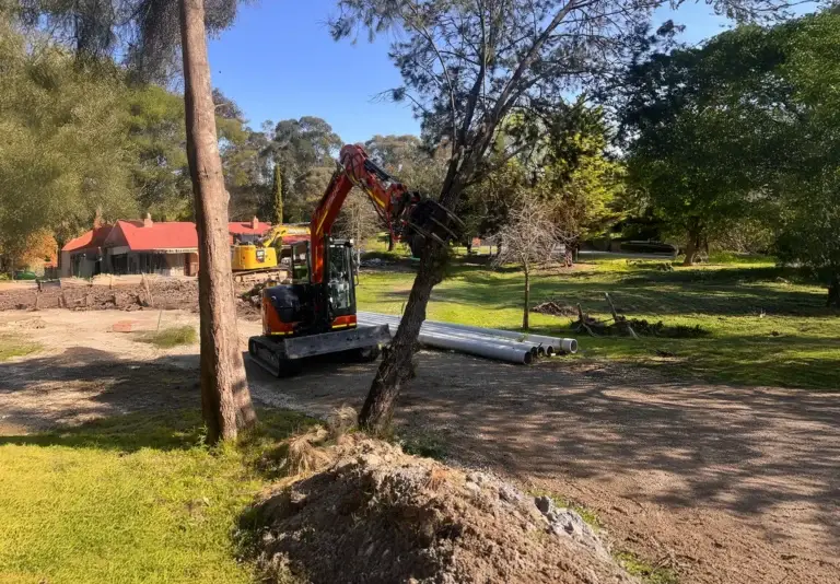 Envirodig digger removing a tree and doing site preparations and clean up